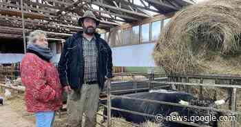 Arche-Hof kümmert sich um die Erhaltung alter Tierrassen ... - Rheinpfalz.de