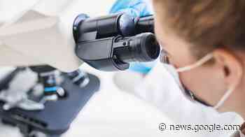 Study: Intranasal Delivery of Antibodies could Solve Delivery ... - BioSpace