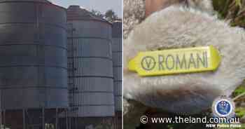 Police investigate separate thefts of 30 tonnes of wheat and 50 sheep