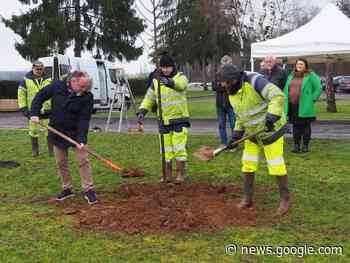 Dix tilleuls plantés au cimetière - Le Journal du Centre