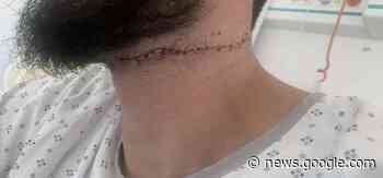 Hérault / Agression à Frontignan-la Peyrade : blessé à la gorge d'un ... - Le Journal du Pays Yonnais