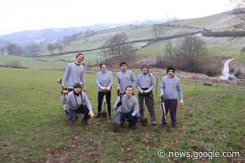Locals spend weekend planting thousands of trees in Welshpool - Wales 247