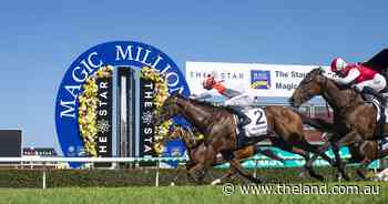 Gollan's filly give the Sunshine State a big success
