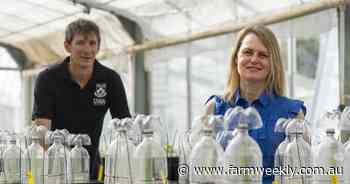 Study assesses the risks of nitrogen losses