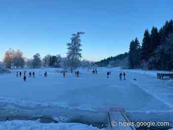 Ce lac à une heure de Lyon se transforme en patinoire naturelle ... - Le Journal du Pays Yonnais
