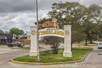 4 people arrested in alleged rape of LSU student who died after she was hit by car