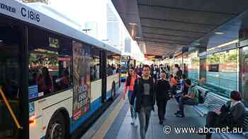 Facing a driver boycott, Queensland commits $60 million to improve bus and train safety