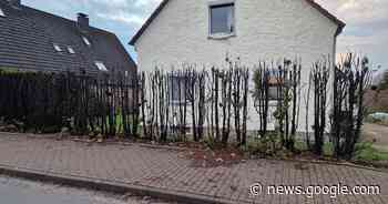 Lemgoer Feuerwehr muss zu mehreren brennenden Hecken ... - Lippische Landes-Zeitung