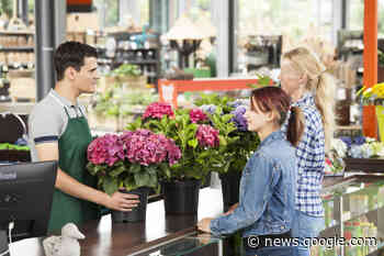 Bundesbürger gaben 2022 weniger für Blumen und Pflanzen aus - TASPO