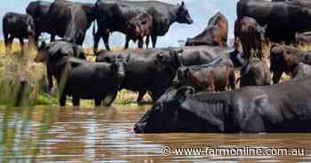 By George, this Walcha property has a stellar farm history