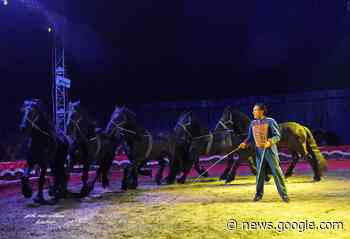 Circo Città Di Roma, le foto dello spettacolo a Scafati (SA) - PassioneCirco.net