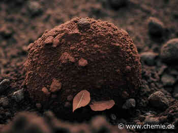 Abschied "für immer" - Zerstörung von PFAS durch Zerkleinerung mit einem neuen Zusatzstoff