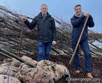 Stadt Celle: Fast "34.000 Bäume in fünf Jahren gepflanzt" - CelleHeute