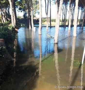 Giulianova, in tilt il sistema fognario: pineta allagata - Abruzzo Cityrumors
