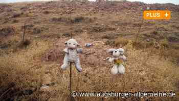 Jesiden zu Prozess um geplanten Ehrenmord: "Wir bringen doch niemanden um"