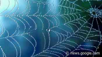 Webinar: Think spiderwebs, not funnels, for remarkable SEO results - Search Engine Land