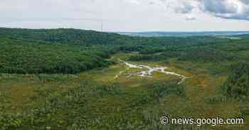 Merryspring webinar to discuss 'The Rockland Bog: A Hidden ... - PenBayPilot.com
