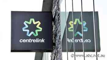 Witness admits his department made 'false' statements about Robodebt to ombudsman