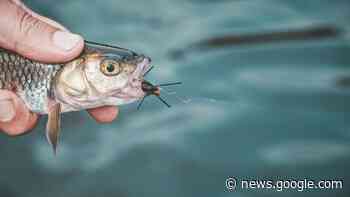 «Più grande di noi», l'ultima opera di Raul Montanari è un inno alla ... - L'Eco di Bergamo