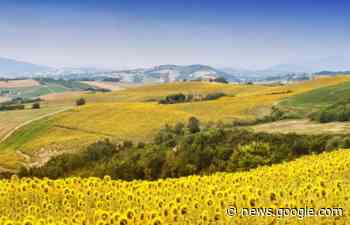 Marche, all'opera il bio-distretto più grande d'Europa - Greenplanet.net