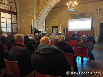 CAVALLI DEL PALIO DI SIENA: AFFETTO, RISPETTO, SALUTE ... - Brontolo dice la sua