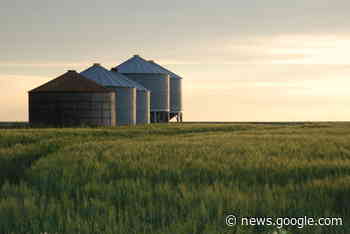 CGC says monitoring grain storage is key - CochraneNow ... - CochraneNow.com