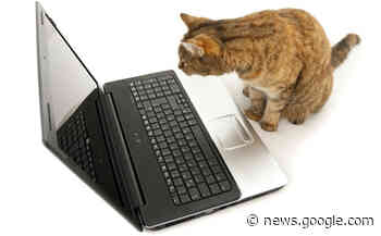 Peter Cochrane: Schrödinger's search engines - Computing