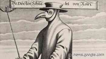 Dax. La peste en Aquitaine au programme de la société de Borda - Le Journal du Pays Yonnais