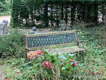 Coronavirus kills 46,278 people in NL as excess death rate falls ... - DutchNews.nl
