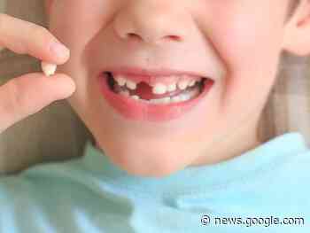 Column: When the Tooth Fairy bites into parental disputes - Cochrane Times Post