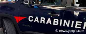 Rapina transgender a Solaro, arrestato - Il Cittadino di Monza e Brianza