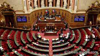 Frankreichs Senat stimmt für schnelleren Bau von Atomkraftwerken - WELT