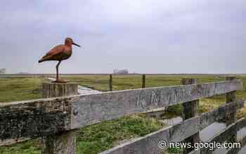 Op de bonnefooi een rondje vanuit Aldegea in Friesland. Waar zie ... - Dagblad van het Noorden