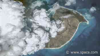 Hunga Tonga eruption likely to make next year's ozone hole larger