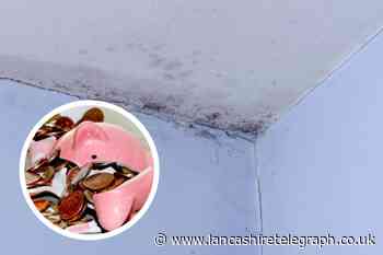 People warned of cold-callers claiming to deal with toxic mould