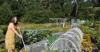 Mogelijkheid tot eigen volkstuintje aan sportcomplex Zelzate-Zuid ... - Het Laatste Nieuws