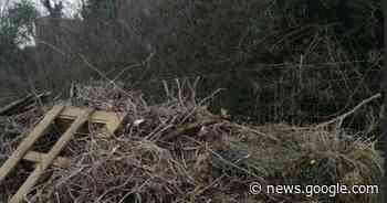 Nuovo tentativo di incendio agli orti di Forte Acqui - AlessandriaNews