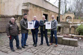 Tierisch spannende Kommunikation im Erlebnis-Zoo Hannover | Langenhagen aktuell | Region Hannover | News - Langenhagener-News