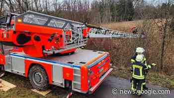 Eine Person sinkt in Ravensburg in einer Schilfwiese ein und wird ... - Schwäbische