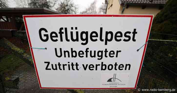 Geflügelpest in Thüringen: Halter müssen handeln