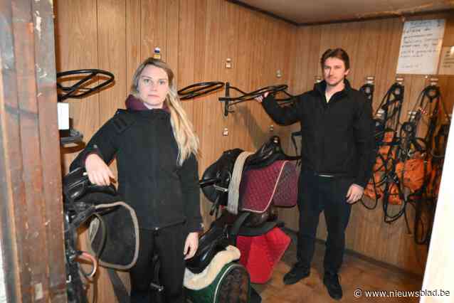 Opmerkelijke diefstal in Gaverranch: “Wie steelt nu elf zadels?”