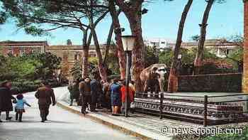 Viaggio nel tempo: la Villa Bellini di Catania come non l'avete mai ... - Il Fatto di Catania