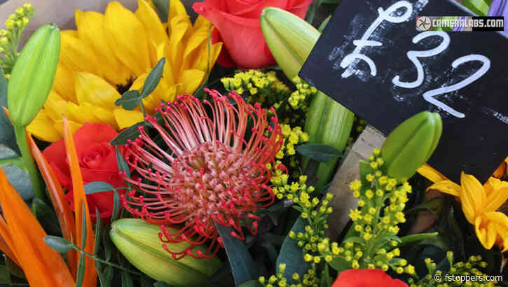 How Much of an Improvement Is the Canon EOS R6 Mark II for Stills Work?