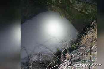 Concerns raised over mystery 'milky' water in Blackbrook - St Helens Star