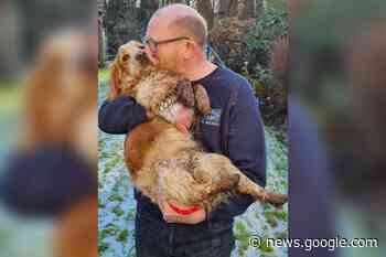 Billinge family reunites with beloved pet after community effort - St Helens Star
