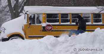 Hamilton, Niagara area public schools remain open despite snowfall warning