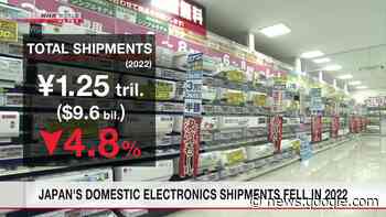Japan's domestic electronics shipments fell in 2022 - NHK WORLD