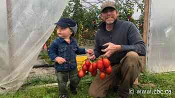 Farm revenues stagnate in Thunder Bay district, while rest of northern Ontario sees huge growth