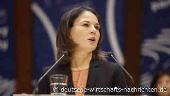 Baerbock: „Wir führen Krieg gegen Russland“