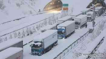 Heavy snow causes travel chaos in Japan, South Korea